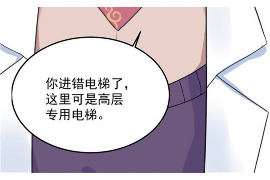 邵东企业清欠服务